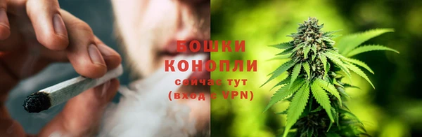 СК Магас