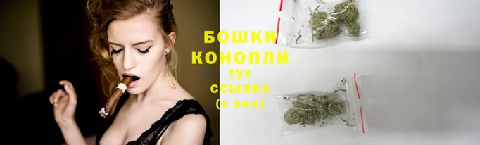 СК Магас