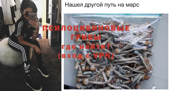 спиды Майский