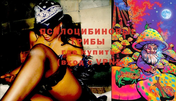 спиды Майский