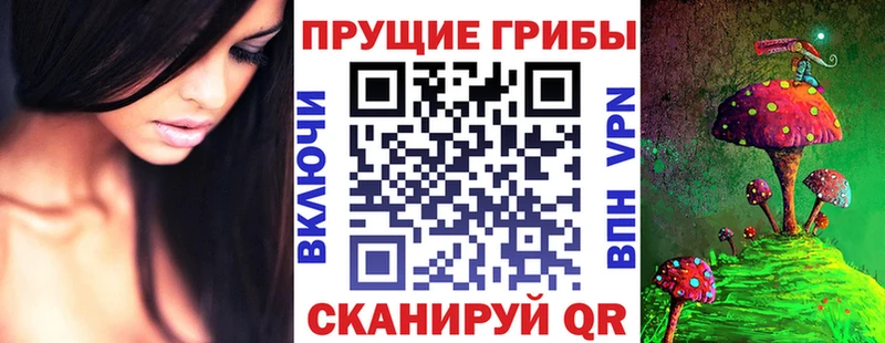 Псилоцибиновые грибы Psilocybe Южа